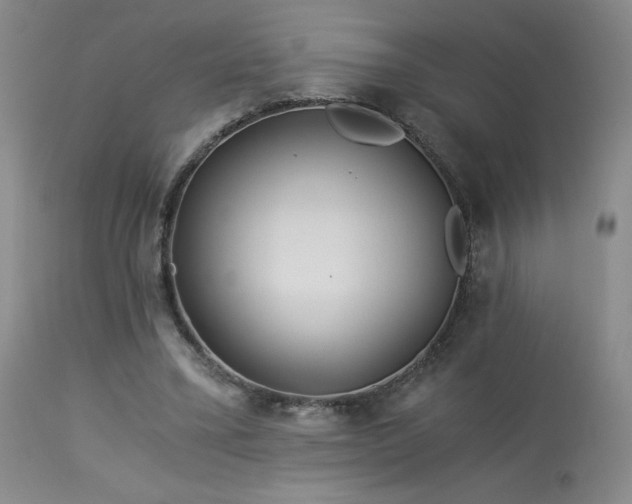 X0000113990395200910021228