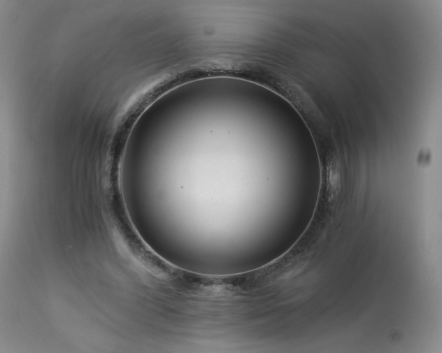 X0000113990396200910021228