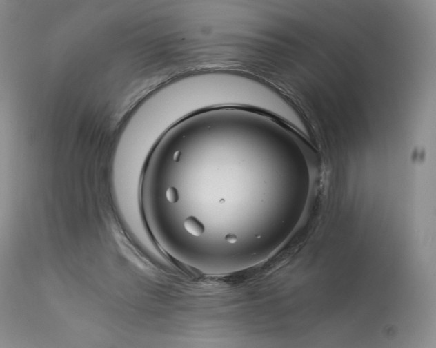 X0000113990397200910021228