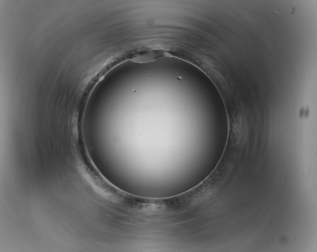 X0000113990398200910021228