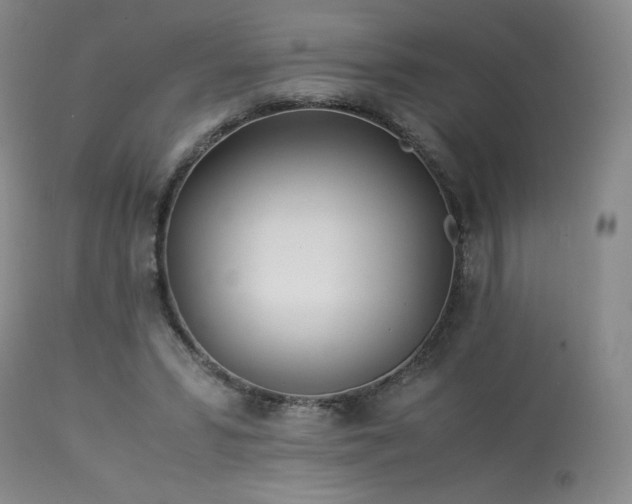 X0000113990399200910021228