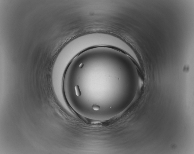 X0000113990401200910021228