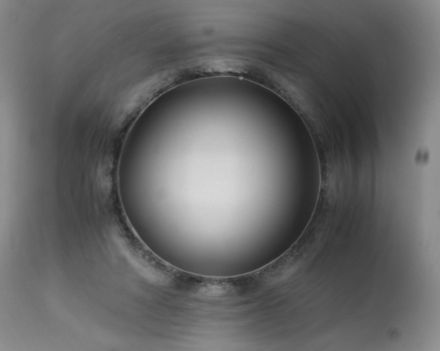 X0000113990402200910021228