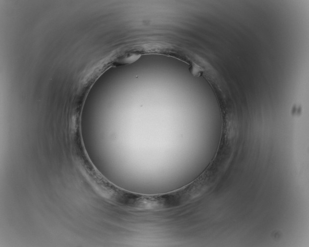 X0000113990405200910021228