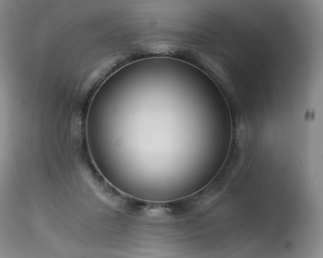 X0000113990407200910021228