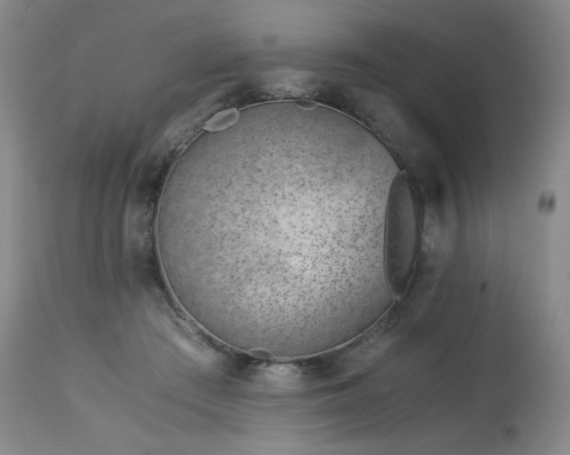 X0000113990409200910021228