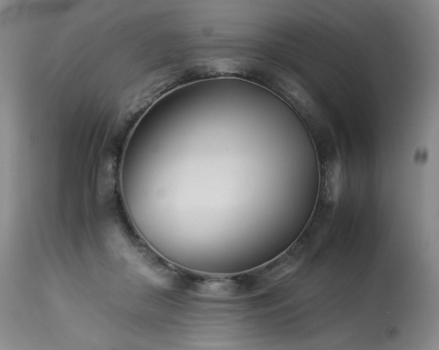 X0000113990410200910021228