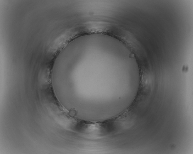 X0000113990411200910021228