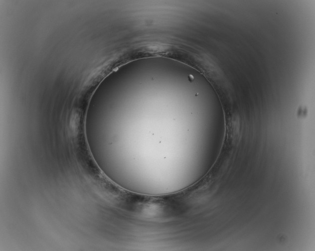 X0000113990412200910021228