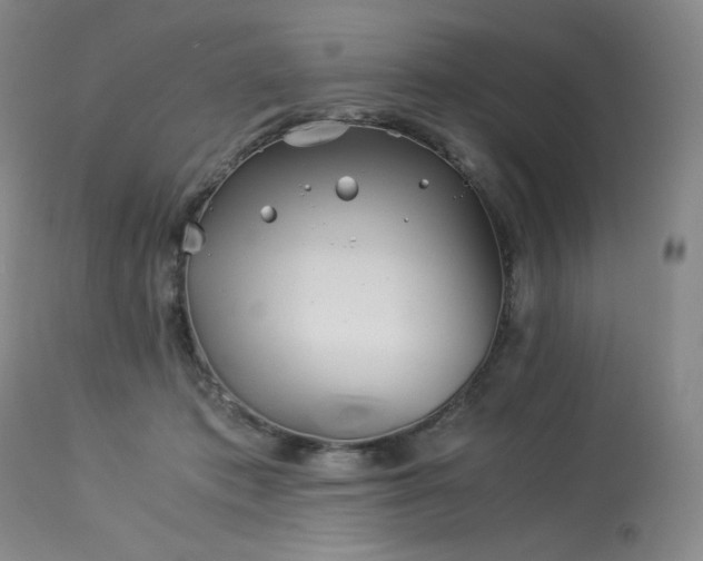 X0000113990413200910021228