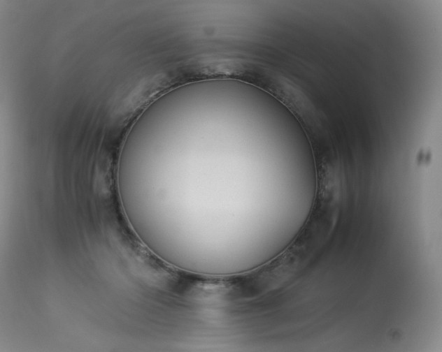 X0000113990414200910021228