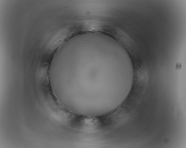 X0000113990415200910021228