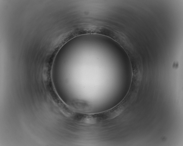 X0000113990416200910021228