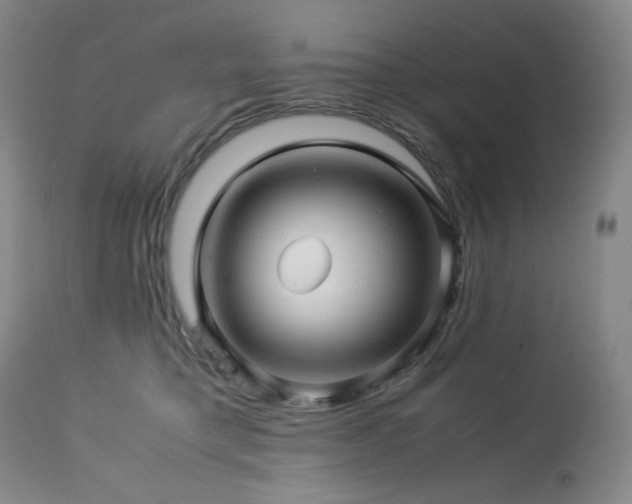 X0000113990421200910021227