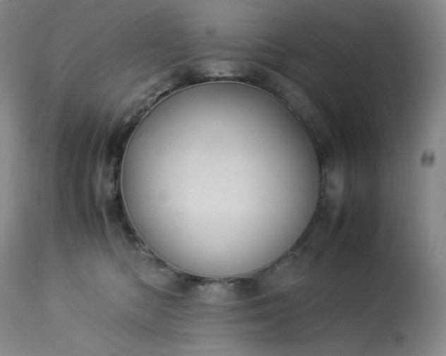 X0000113990422200910021227