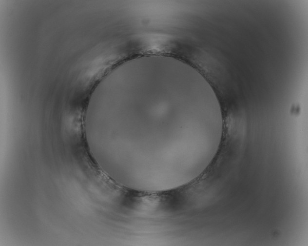 X0000113990423200910021227