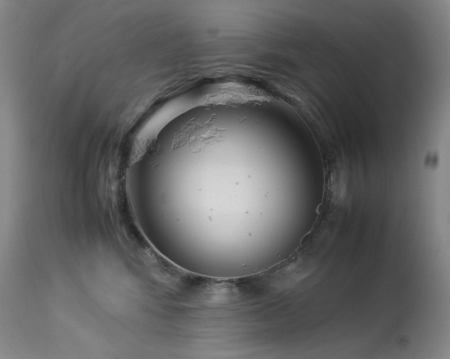 X0000113990424200910021227