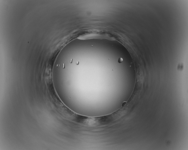 X0000113990425200910021227