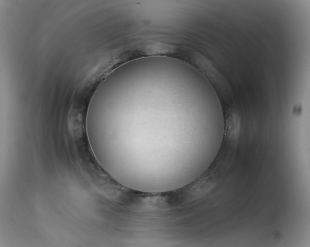 X0000113990426200910021227