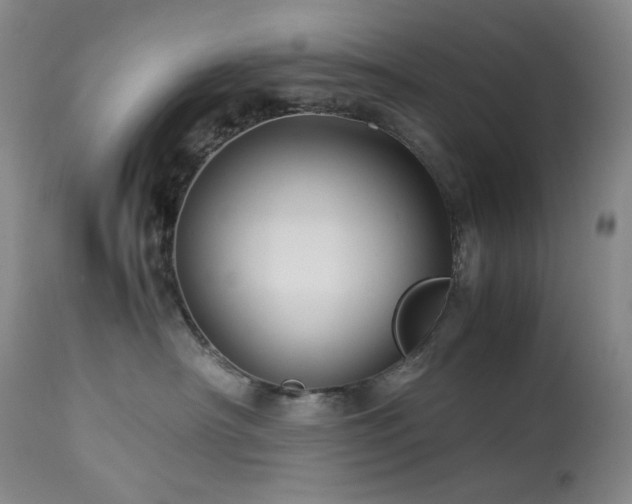 X0000113990430200910021227