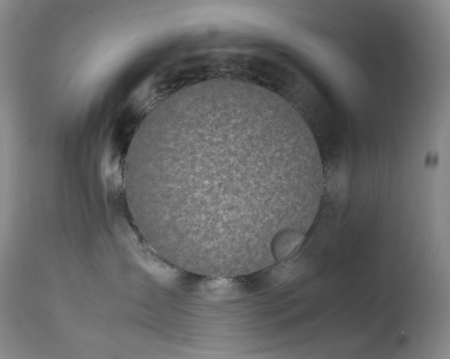 X0000113990431200910021227