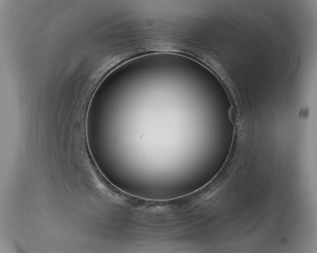 X0000113990433200910021226