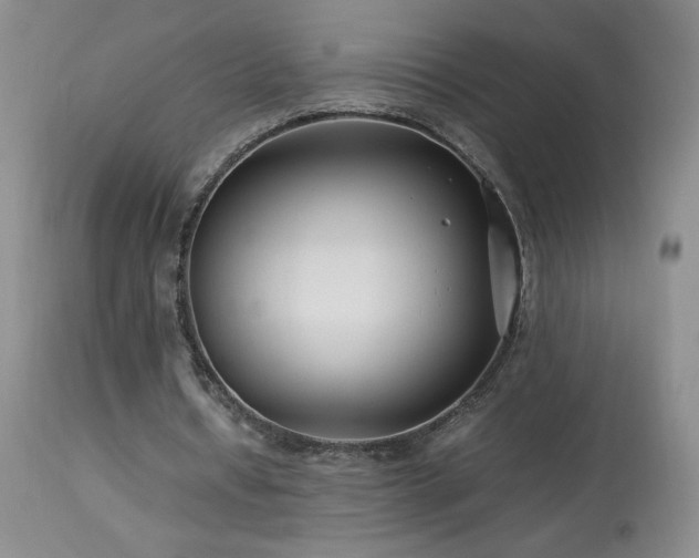 X0000113990434200910021226