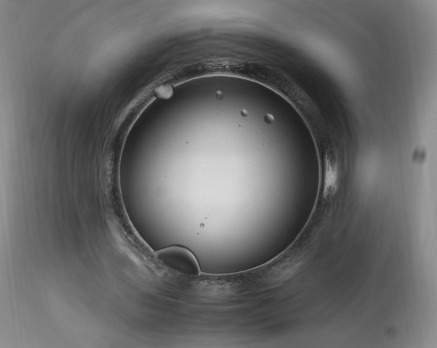 X0000113990435200910021226