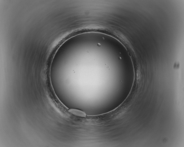 X0000113990436200910021226