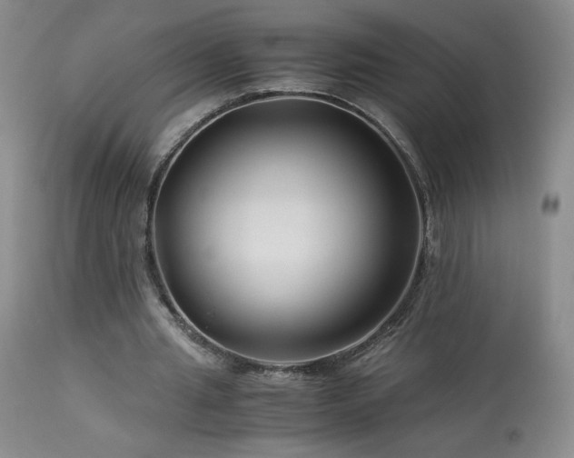 X0000113990437200910021226