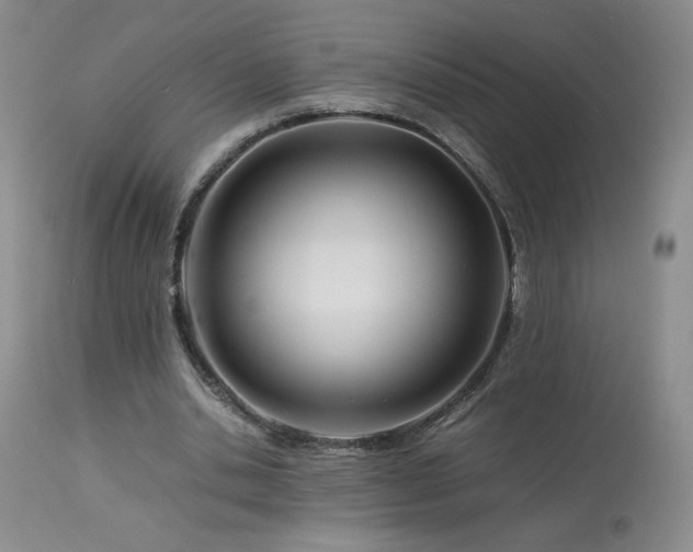 X0000113990438200910021226