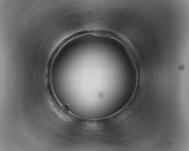 X0000113990439200910021226