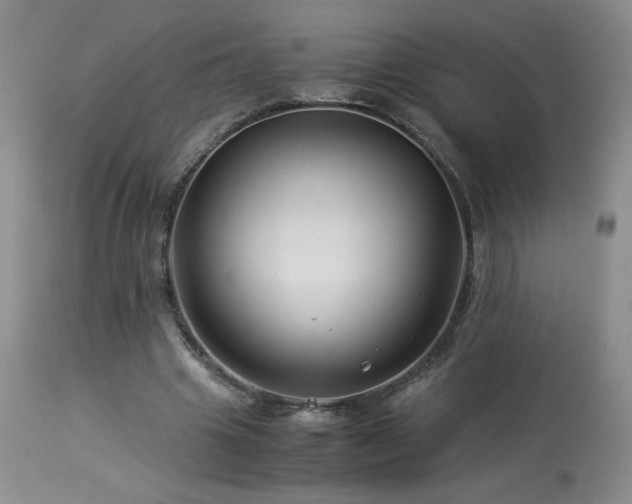 X0000113990441200910021226