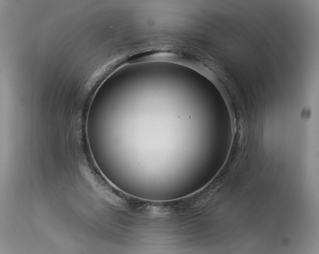 X0000113990442200910021226