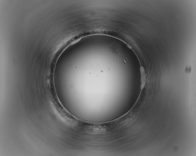 X0000113990443200910021226