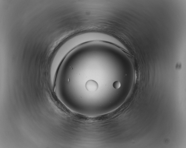 X0000113990444200910021227