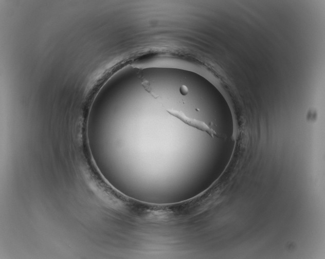 X0000113990446200910021227