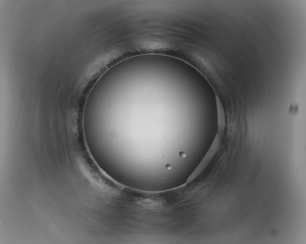 X0000113990447200910021227