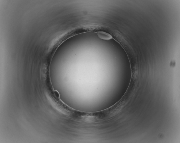 X0000113990448200910021227