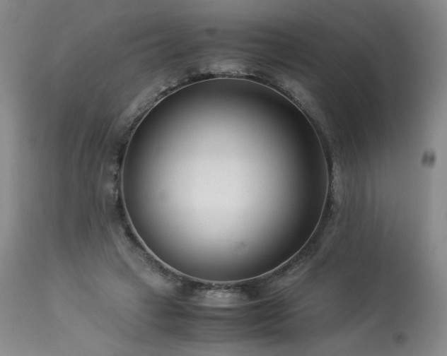 X0000113990449200910021227