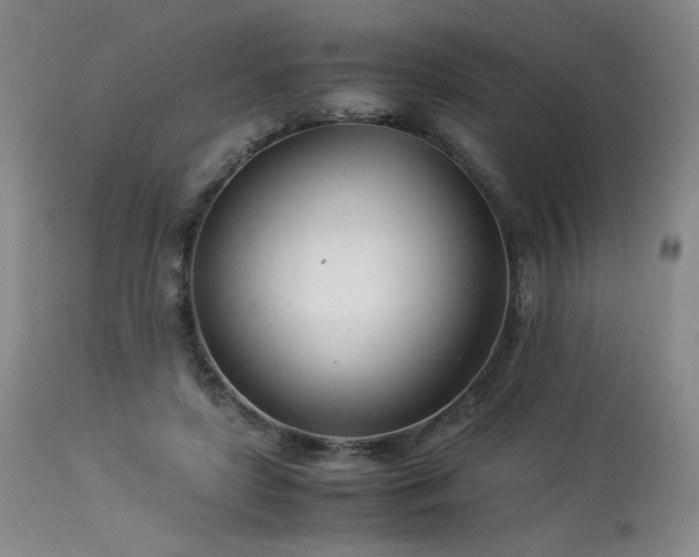 X0000113990451200910021227