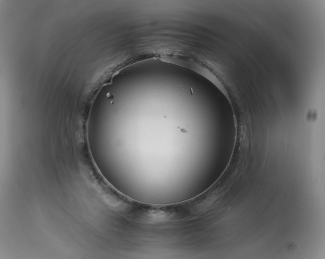 X0000113990453200910021227