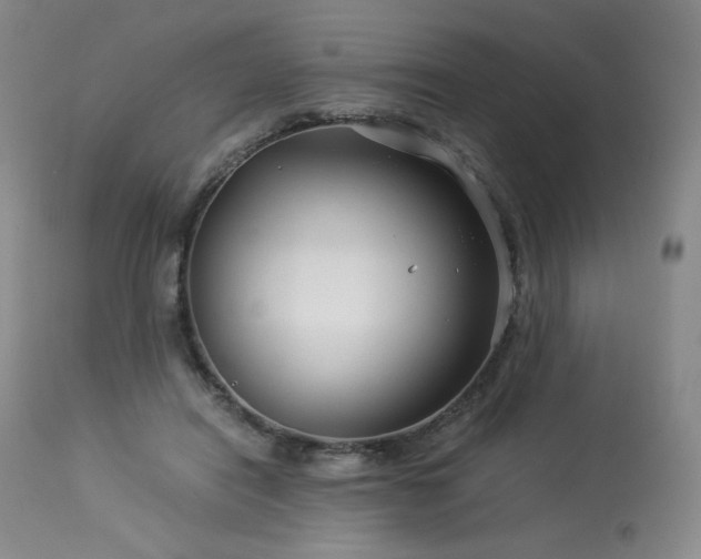 X0000113990454200910021227