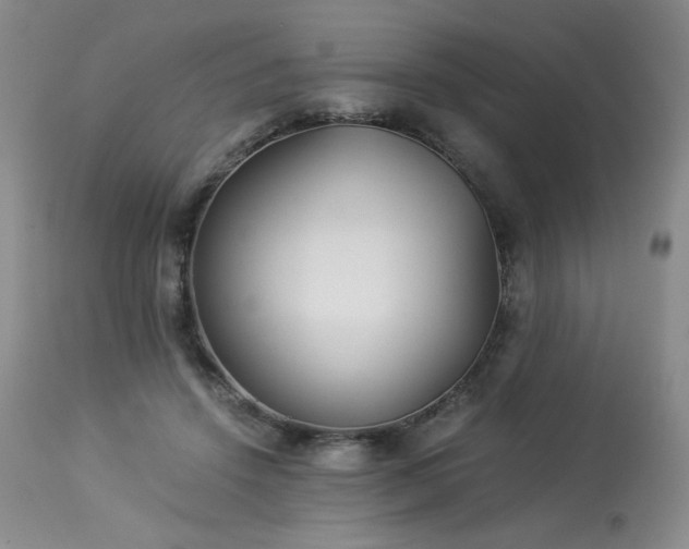 X0000113990456200910021227