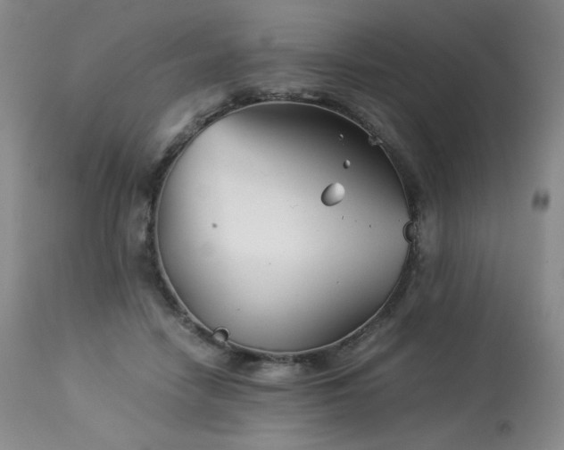 X0000113990458200910021227