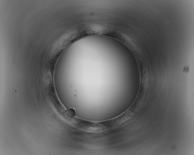 X0000113990459200910021227