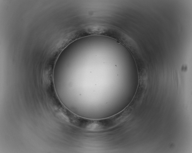 X0000113990460200910021227