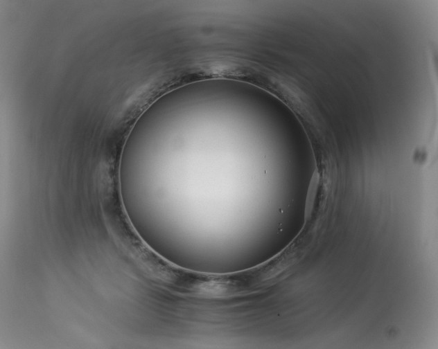 X0000113990461200910021227