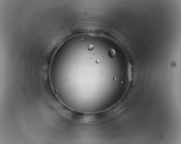 X0000113990462200910021227