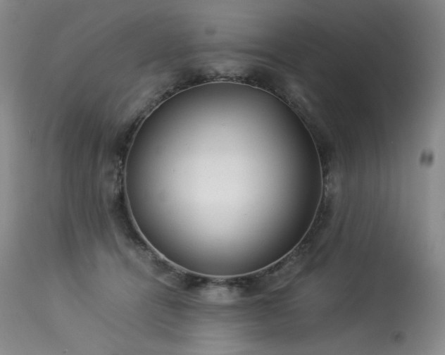 X0000113990464200910021227